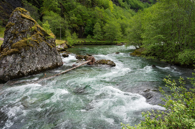 DSC 1339-HDR-2