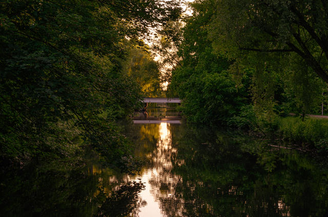 DSC 1975-HDR