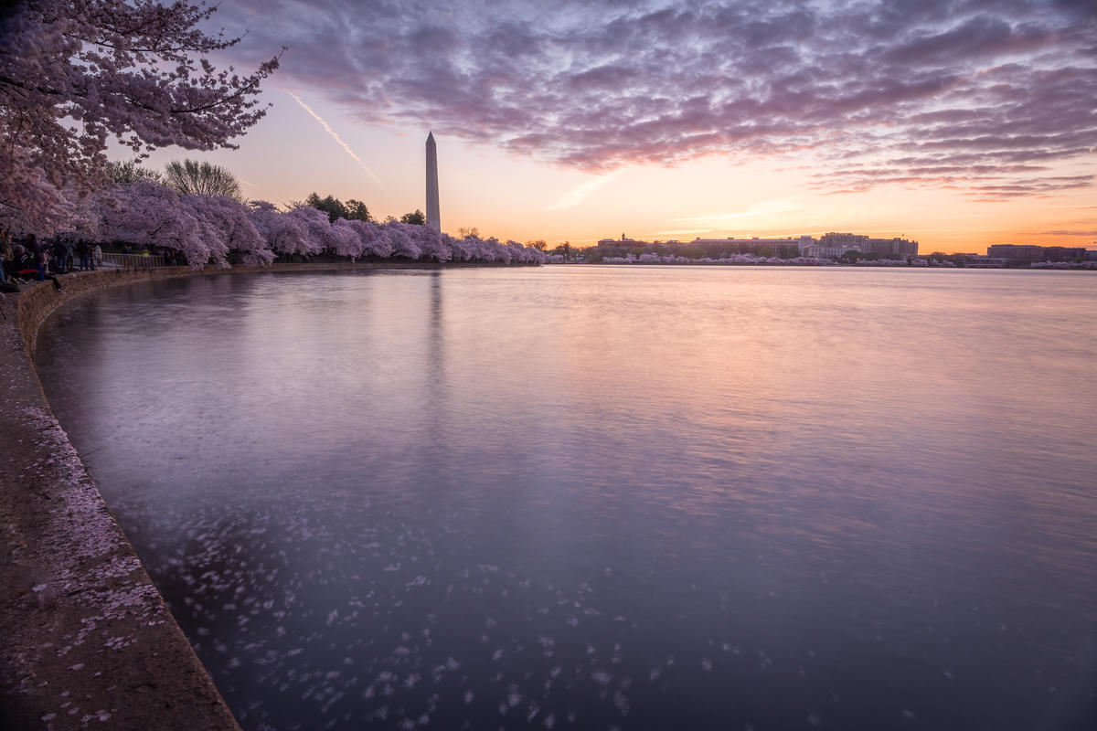 Washington DC